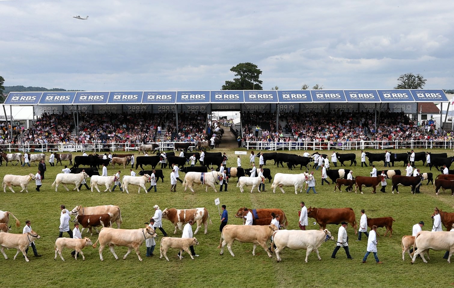 The Royal Highland Show 2018 Edinburgh Watch Company